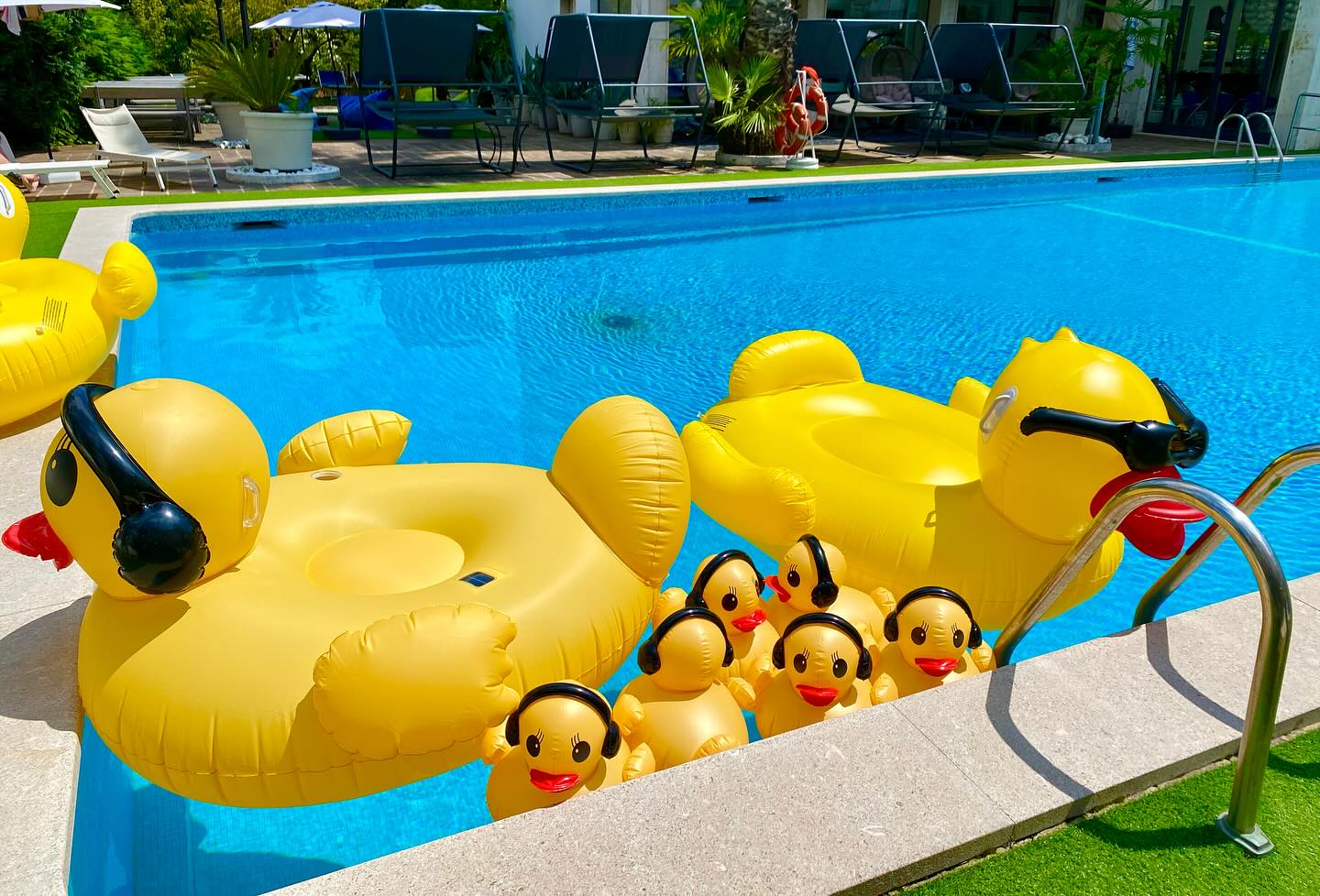 I NOSTRI NUOVI OSPITI 🕶️⛱️